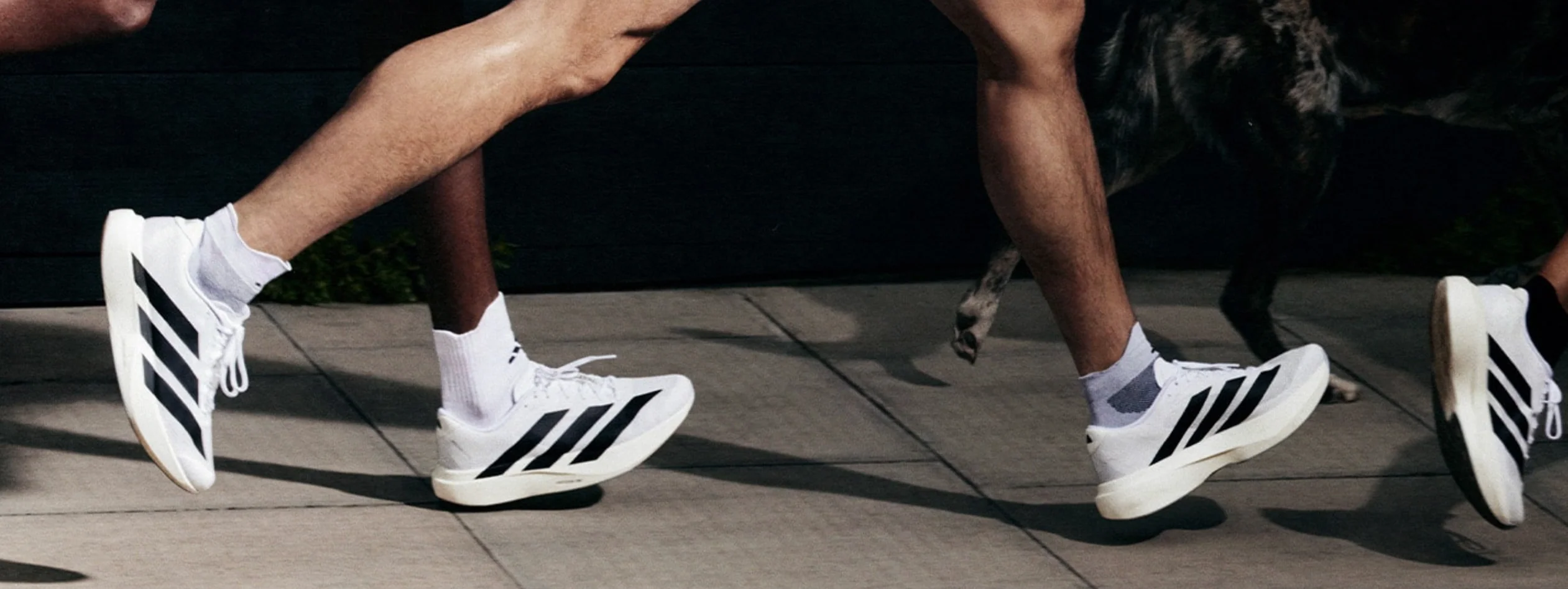 Welcome to Our Store